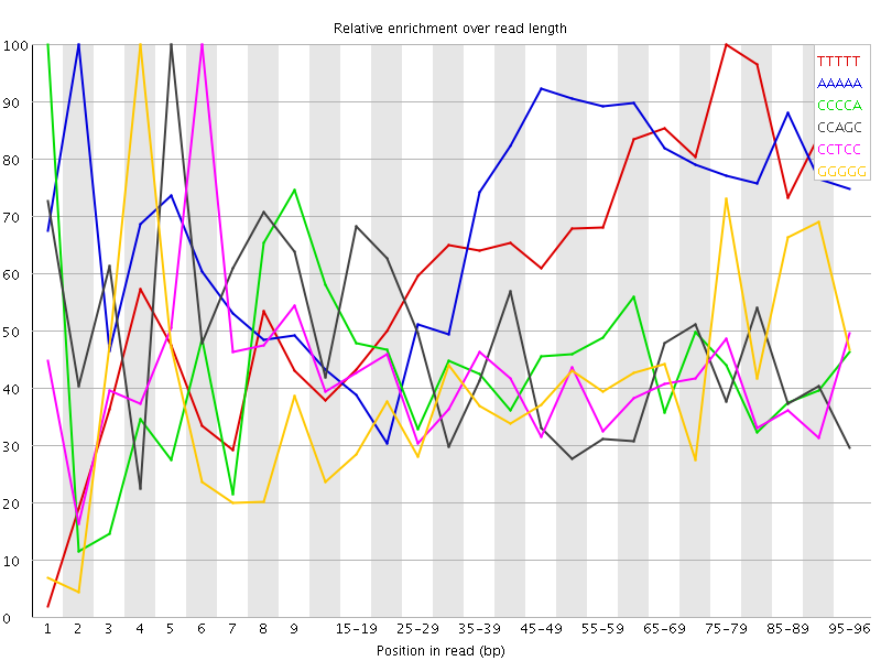 Kmer graph