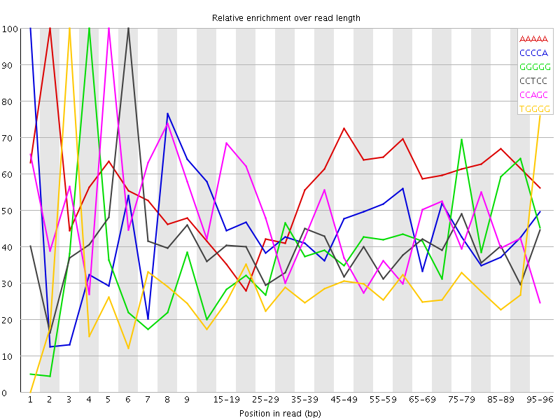 Kmer graph