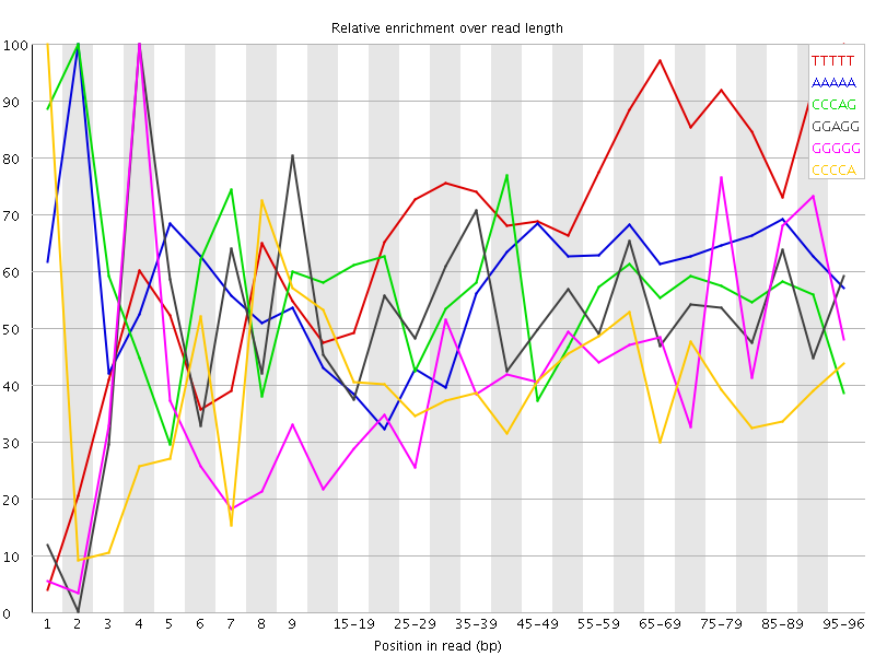 Kmer graph