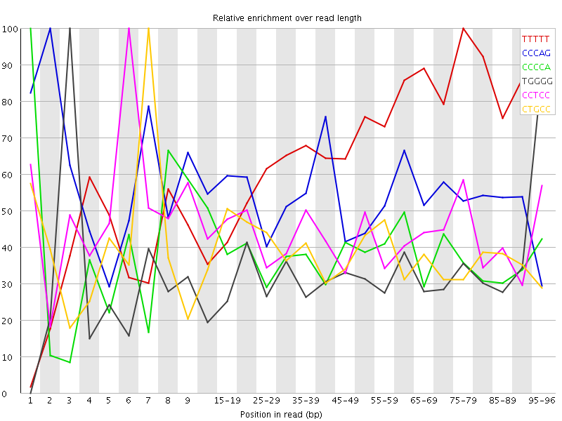 Kmer graph