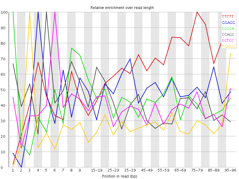 Kmer graph