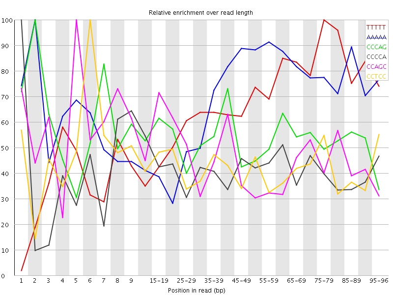 Kmer graph