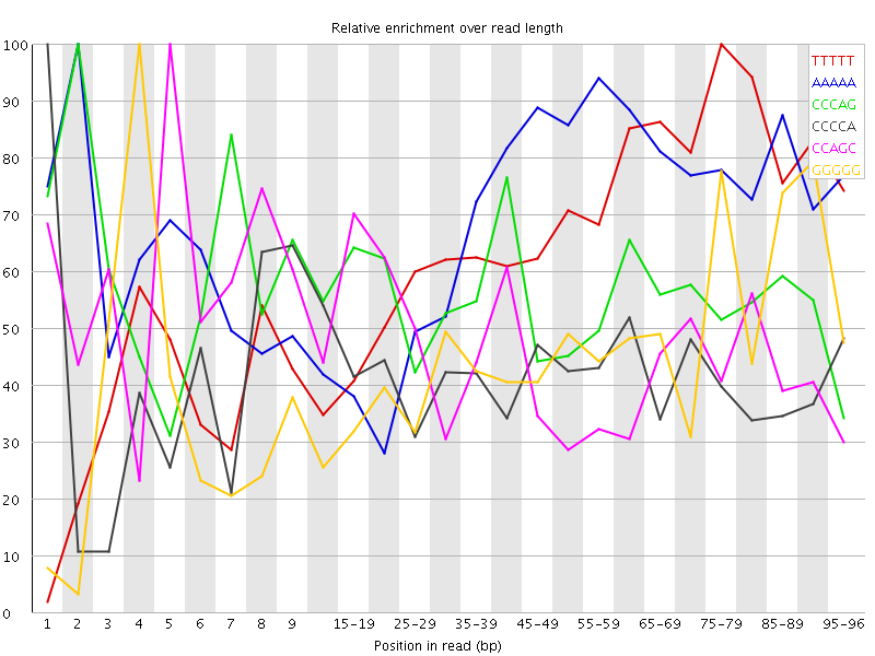 Kmer graph