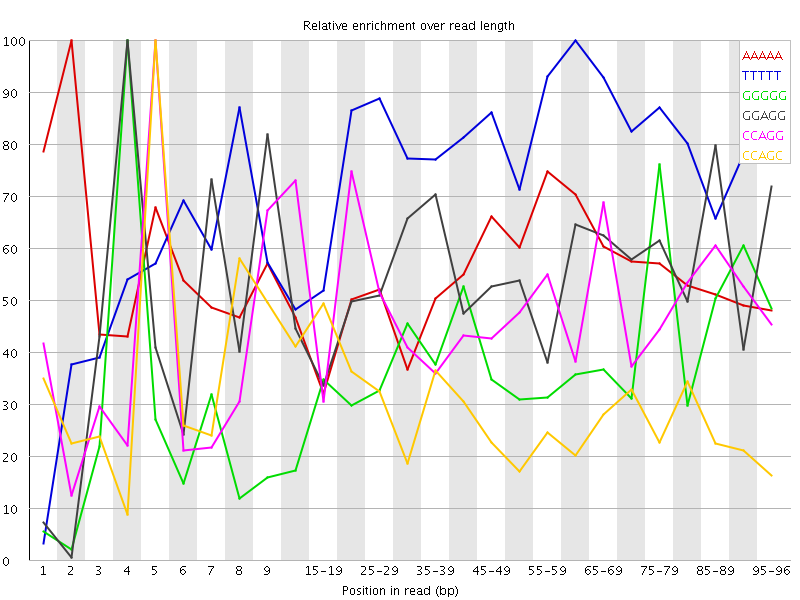 Kmer graph