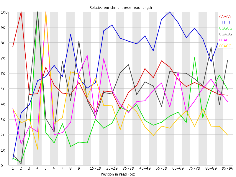 Kmer graph