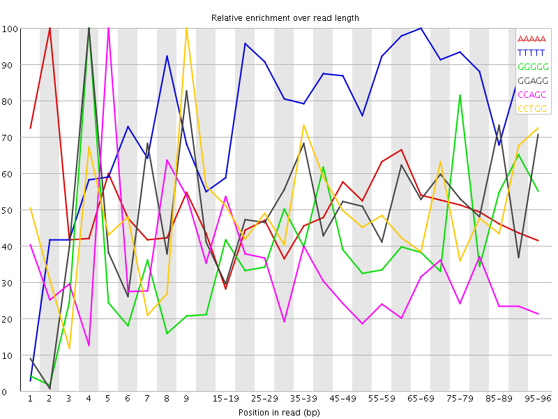 Kmer graph