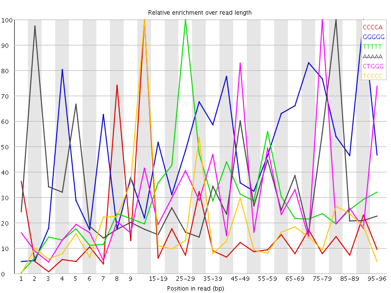 Kmer graph