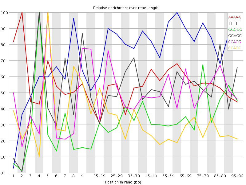 Kmer graph