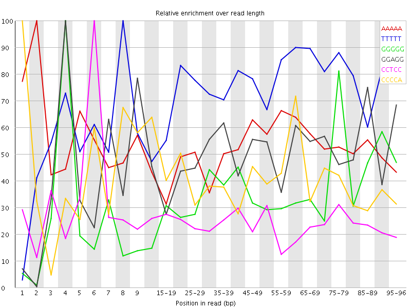 Kmer graph