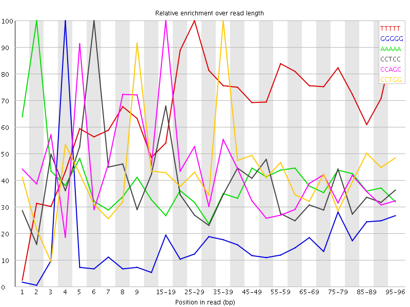 Kmer graph