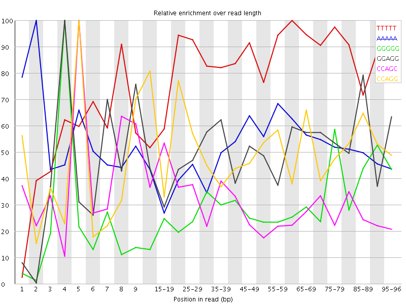 Kmer graph