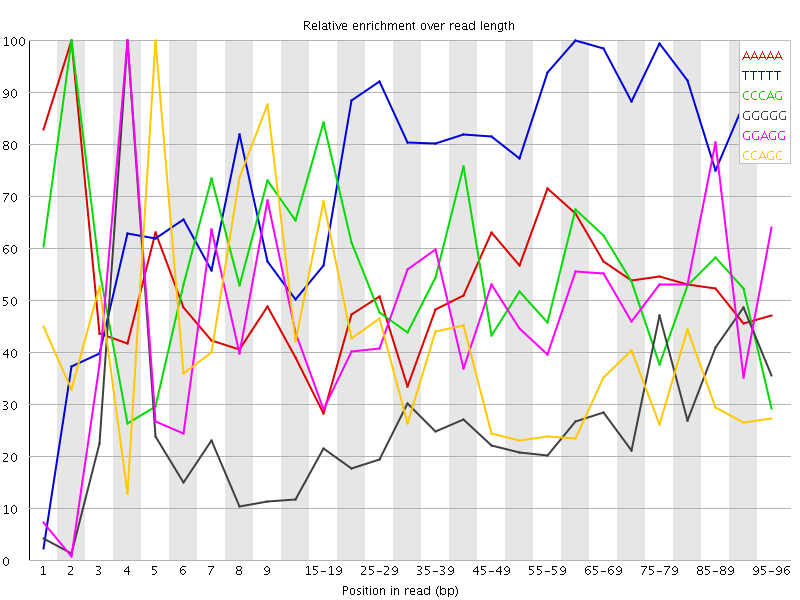 Kmer graph