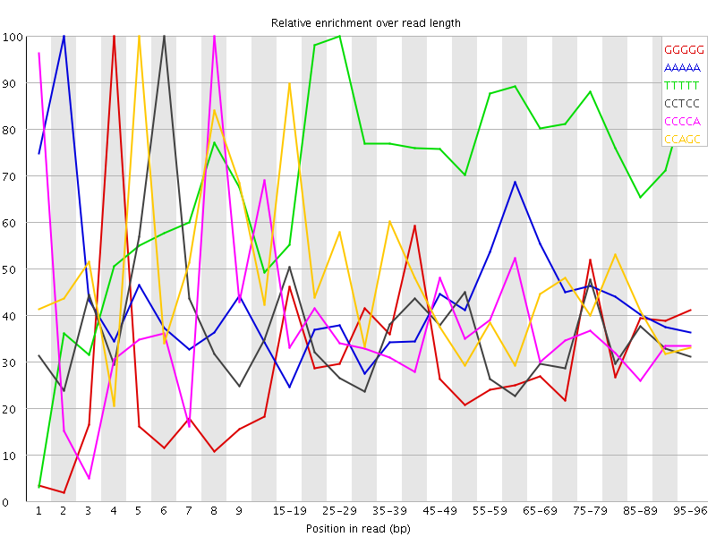 Kmer graph