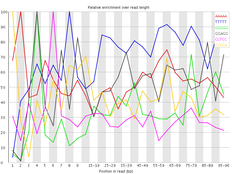 Kmer graph