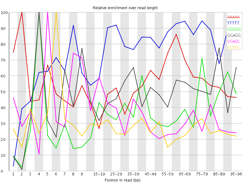 Kmer graph