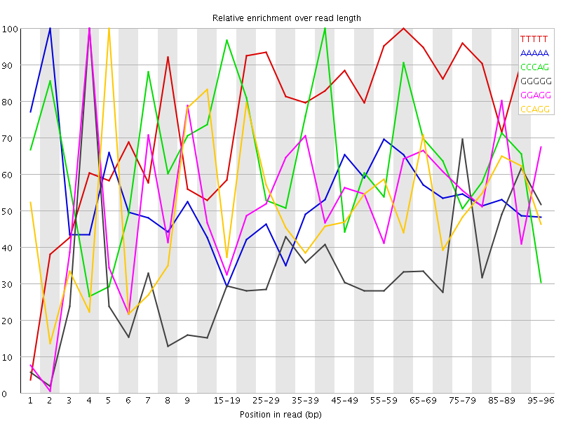 Kmer graph