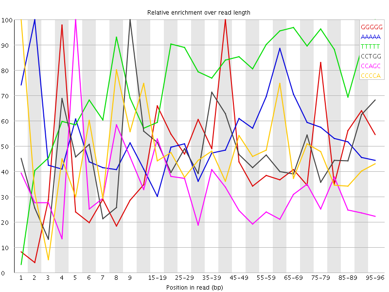 Kmer graph