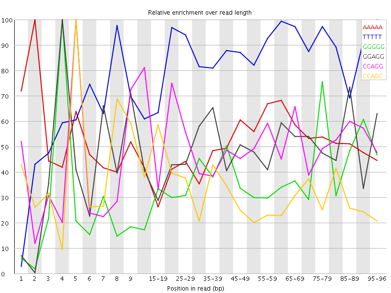 Kmer graph