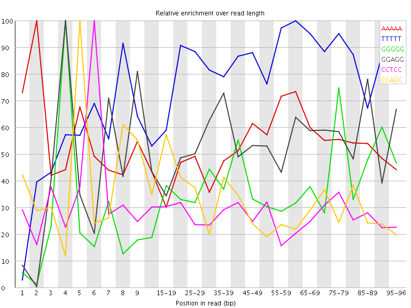 Kmer graph