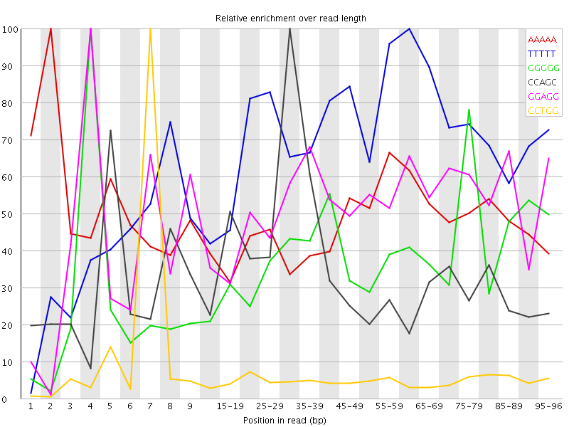 Kmer graph