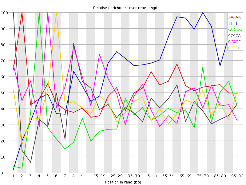 Kmer graph